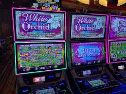 Antarmuka Togel 3D di platform remi189 dengan pilihan angka dan nilai taruhan